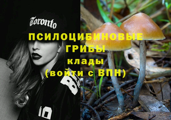 герыч Горняк
