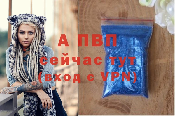 спайс Вязьма